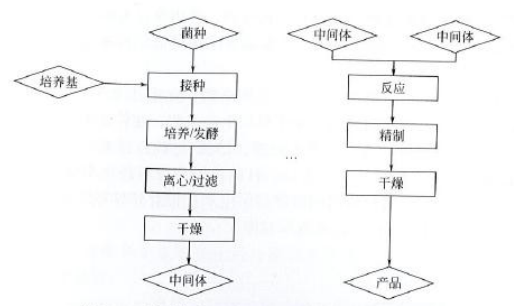 藥廠設(shè)計(jì)